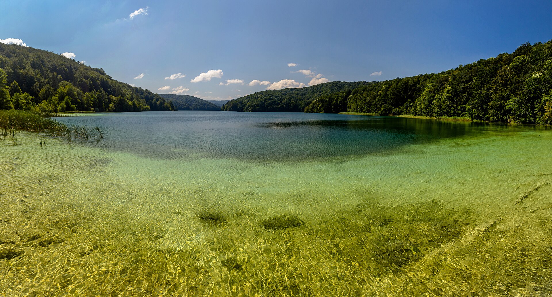 Zalesněné břehy a průzračná voda v národním parku Plitvická jezera