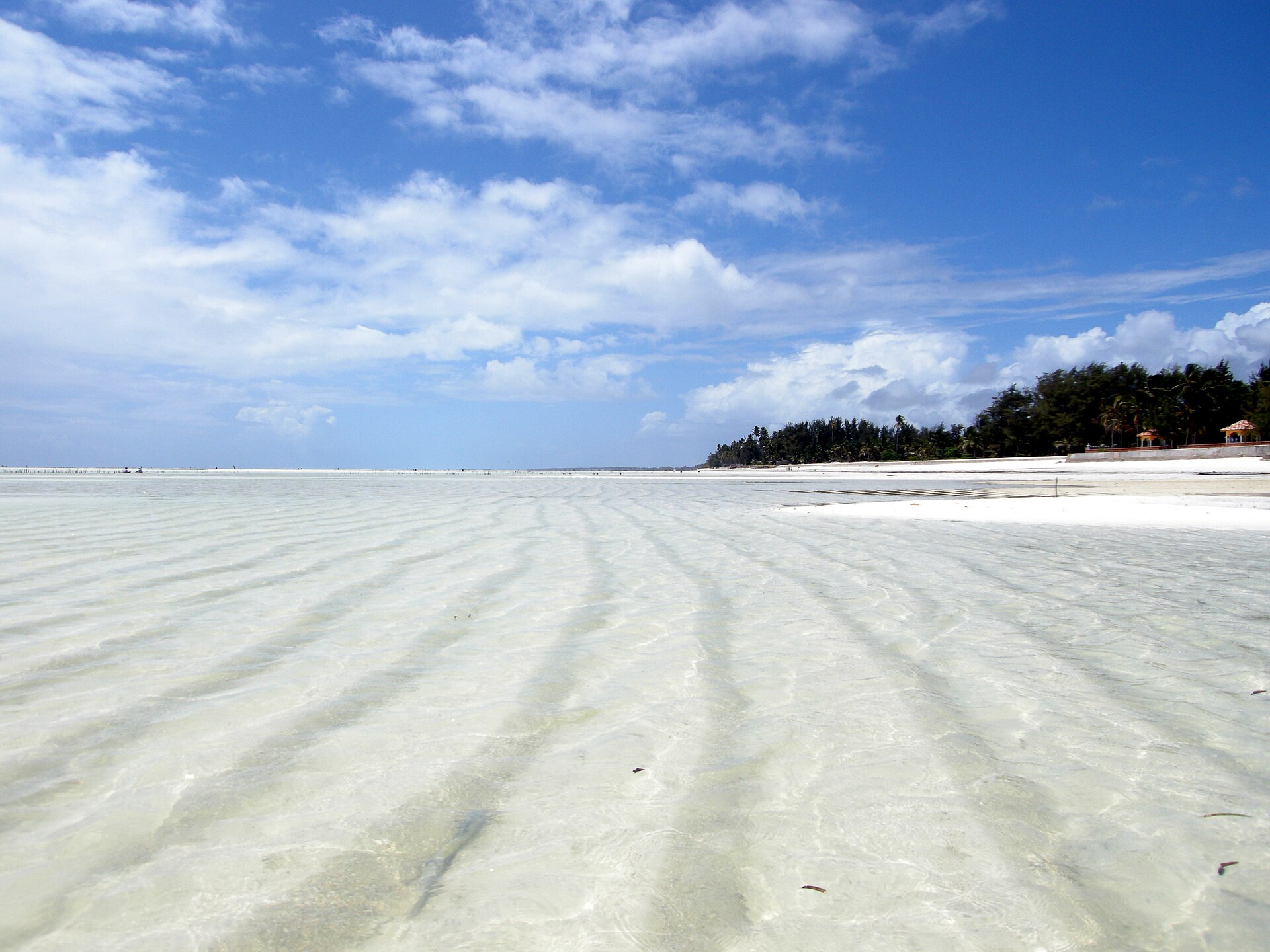 Pláž Paje na východě Zanzibaru při odlivu