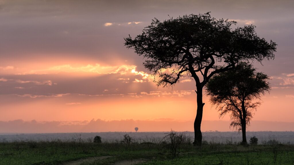 Svítání nad krajinou národního parku Serengeti