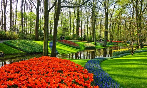 Keukenhof – ráj holandských tulipánů